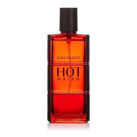 Davidoff Hot Water Men 110ml Edt Men Perfume Addicts