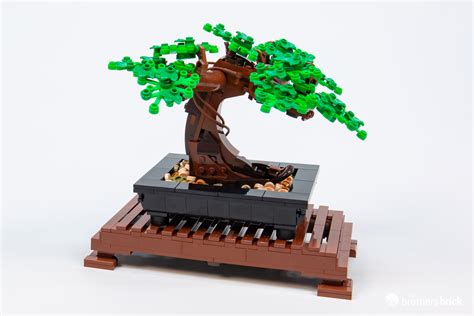 LEGO Botanical Collection 10281 Bonsai Tree TBB Review 6CY86 29 The