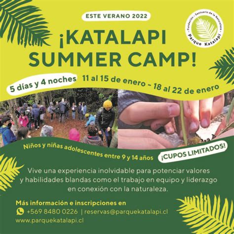 Campamentos De Verano 2022 Para Niños Y Adolescentes En Parque Katalapi