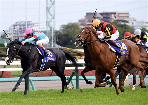 【天皇賞・秋】イクイノックス492kg8、ジオグリフ24 調教後の馬体重｜テレ東スポーツ：テレ東