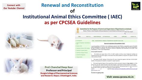 Cpcsea Guidelines Iaec Youtube