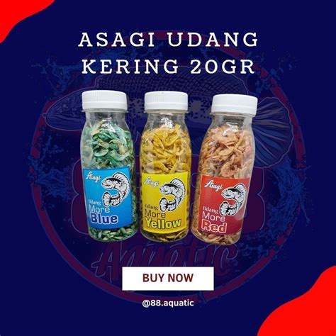 Jual Asagi Udang Kering Red Blue Yellow Pakan Ikan Channa Predator