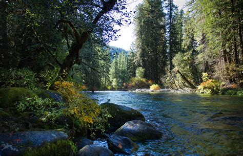 McKenzie River Oregon The McKenzie River Is A 90 Mile 14 Flickr