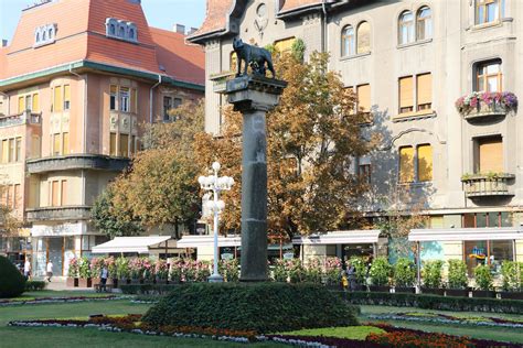 Ph 2018 09 08 Timisoara Piata Victoriei Lupa Capitolina Flickr