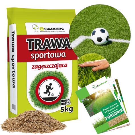 TRAWA SPORTOWA BOISKOWA ODPORNA NA DEPTANIE WYTRZYMAŁA ZAGĘSZCZAJĄCA