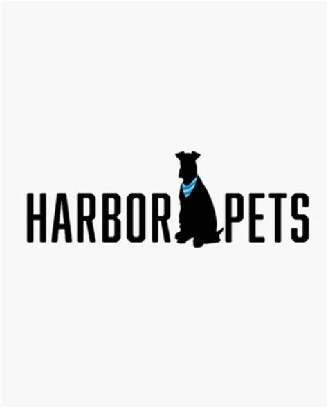 Doggy Daycare Attendant Stamford Ct Patch
