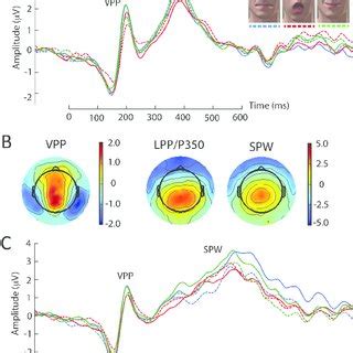 Group Averaged Erp Waveforms And Scalp Topographic Maps P N And