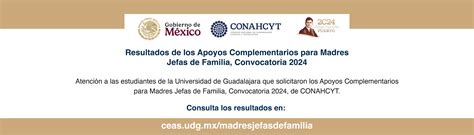 Resultados De Los Apoyos Complementarios Para Madres Jefas De Familia