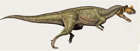 History Of The Earth October 17 Ceratosaurus