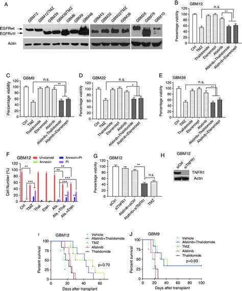 A Comparison Of Tmz And A Combination Of Egfr Plus Tnf Inhibition In