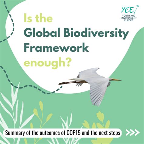 Is The Global Biodiversity Framework Enough Yee