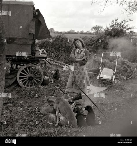 Romany Gypsy Woman By Her Vardo With Dogs And Pups In The Kent Stock