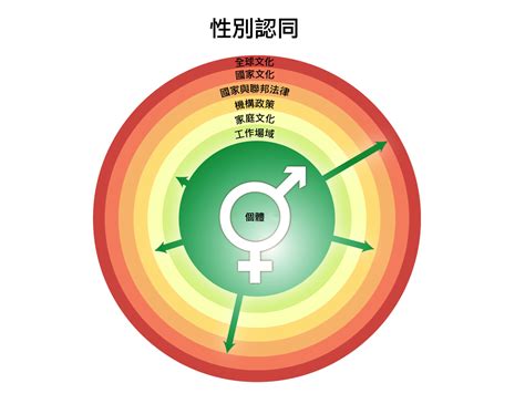 社會性別 性別化創新