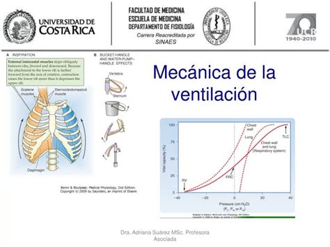 PPT Mecánica de la ventilación PowerPoint Presentation free download