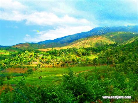 The Journey To Roro Kuning Waterfall Visit Indonesia The Most