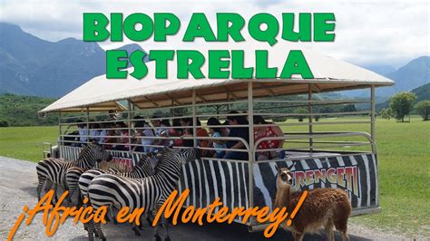 FANTÁSTICO Bioparque Estrella El Parque Temático Safari mas grande