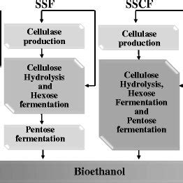 Agitation Systems Used In The Enzymatic Hydrolysis And Fermentation Of