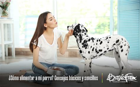 Cómo se puede saber si una mascota está bien alimentada Alimentos101