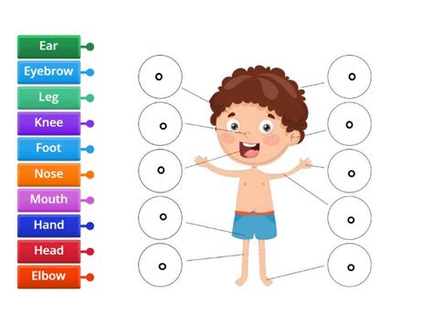 PARTS OF THE BODY Diagrama Con Etiquetas