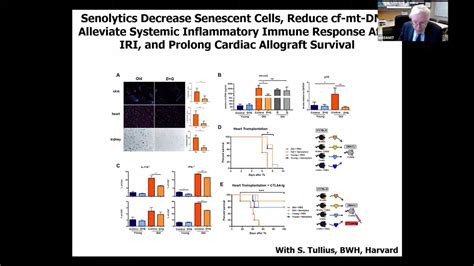 Clinical Trials & Senolytics | Dr. James Kirkland, Mayo Clinic ...