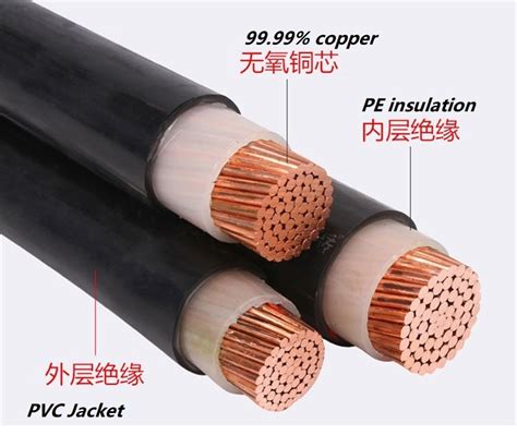 Cu Xlpe Pvc Cross Linked Polyethylene Cable 0 6 1KV PE Insulation