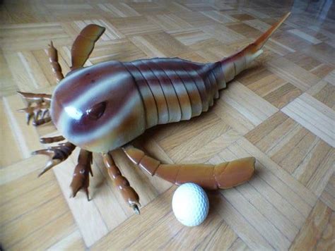 Life-Size Model of Eurypterus Sea Scorpion