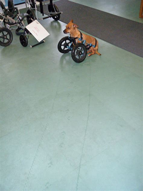 41 heartwarming photos that will restore your faith in humanity – Artofit