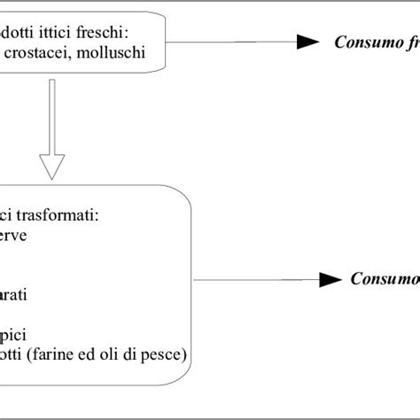 Classificazione Dei Prodotti Ittici In Base Alle Diverse Forme Di