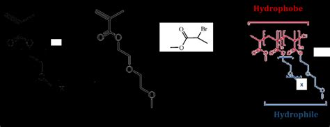 12 Schéma de synthèse par ATRP de copolymères de P MEO2MA co OEGMA à