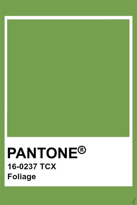 Pantone Foliage Pantone Palette Pantone Tcx Cor Pantone