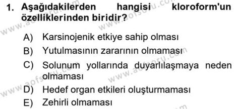 AÖF Temel Veteriner Patoloji Dersi 2021 2022 Yılı Vize Ara Sınavı