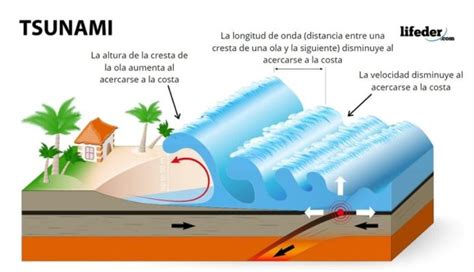 Tsunami qué es características causas consecuencias ejemplos