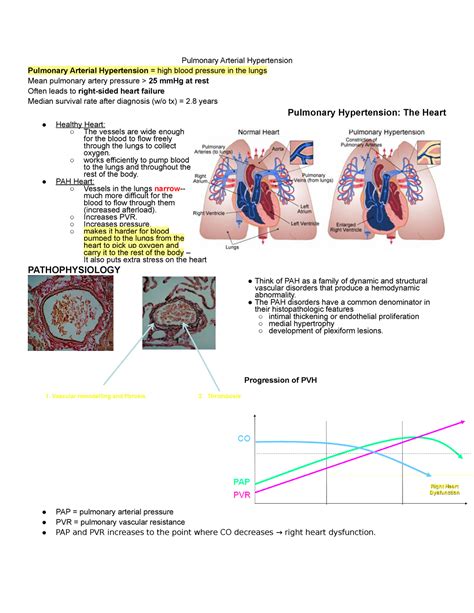 Revised Definition Of Pulmonary Hypertension And Approach