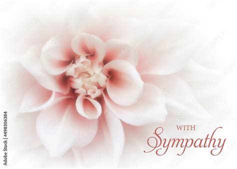 Floral Sympathy Greeting Card White Dahlia Flower With Soft Pink