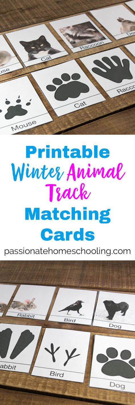 I Love These Free Printable Animal Track Cards They Are Perfect For