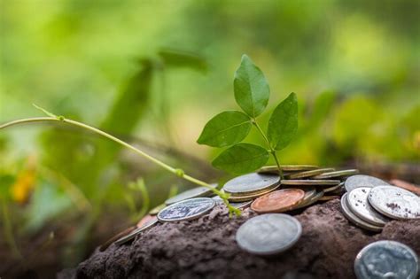 Premium Photo Close Up Of Coins On Plant