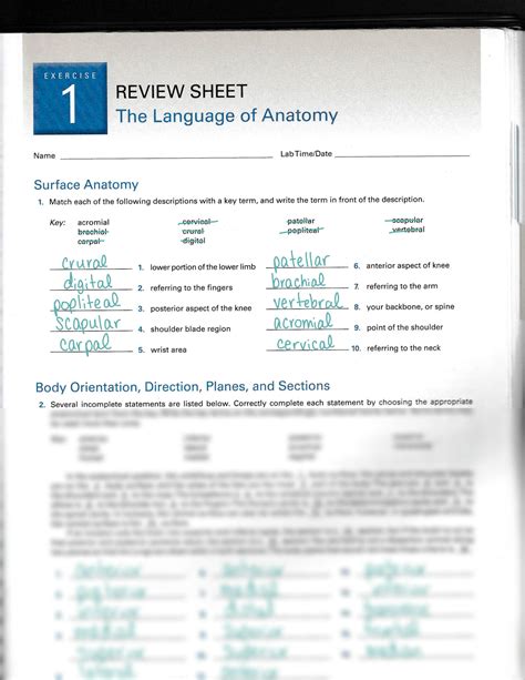 World War 1 Review Sheet Answers 4