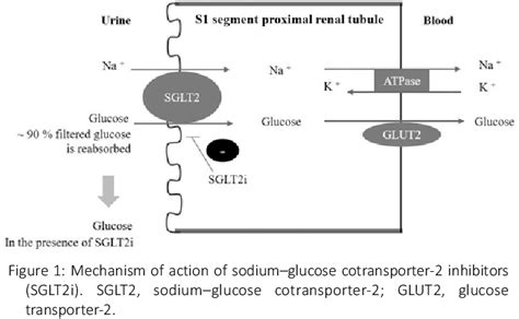 Figure 1 From Postoperative Euglycaemic Diabetic Ketoacidosis