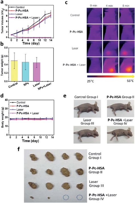 Antitumor therapy in vivo Nude mice bearing MCF 7 tumors n ¼ 16 were