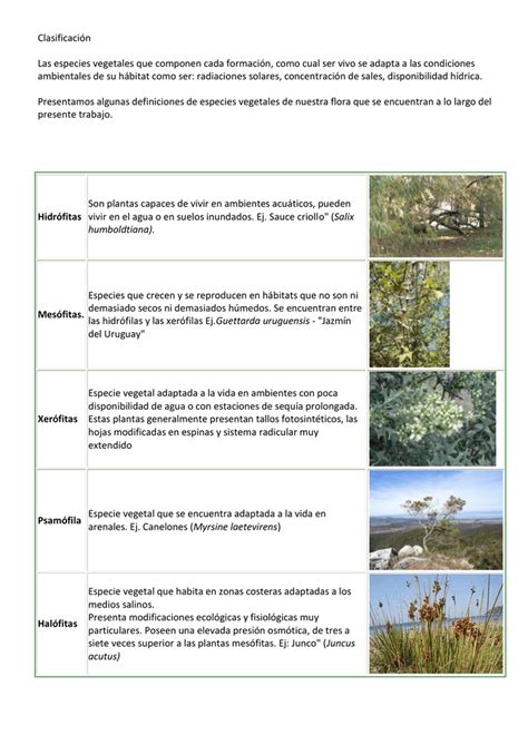 Clasificación Las especies vegetales que componen cada