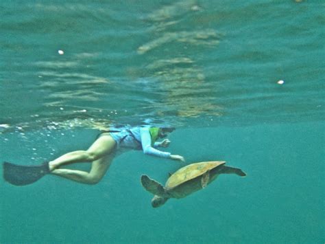 Typical Domestic Babe Hawaii Vacation Diary