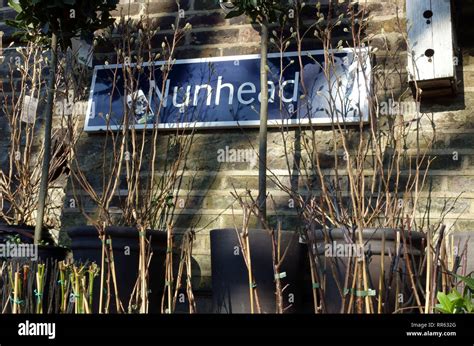 The Nunhead Gardener Garden Centre Nunhead South East London Stock