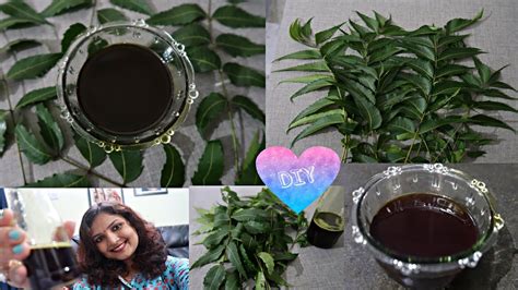 Diy Neem Oil Home Remedy For Healthy Hair And Skin Medicinal Oil With Its Magical