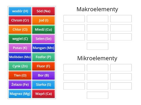 Mikro I Makro Elementy Group Sort