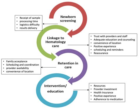 Sickle Cell Disease Care Continuum Framework Download Scientific Diagram