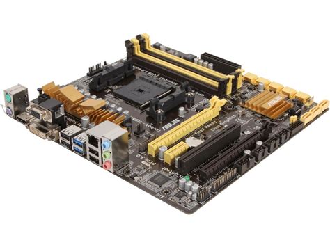 Asus A Xm Plus Csm Fm Fm Micro Atx Amd Motherboard Newegg