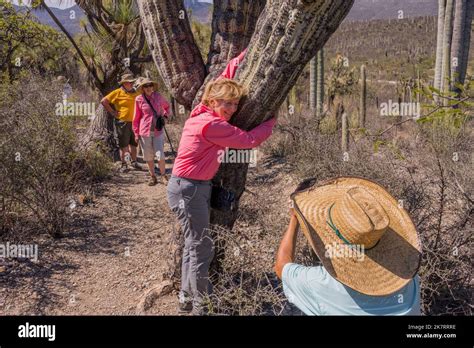 Un Turista Está Abrazando Un Cactus En La Reserva De La Biosfera De Tehuacan Cuicatlán