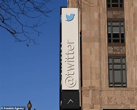 Twitters Former Top Execs Fired By Elon Musk Are Suing The Company For