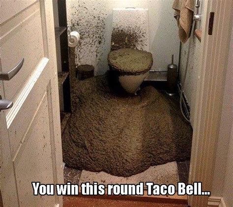 You Win This Round Taco Bell... Pictures, Photos, and Images for ...