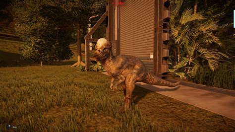 Jurassic World Evolution Pachycephalosaurus By Tyrannosaurusrex 123 On Deviantart